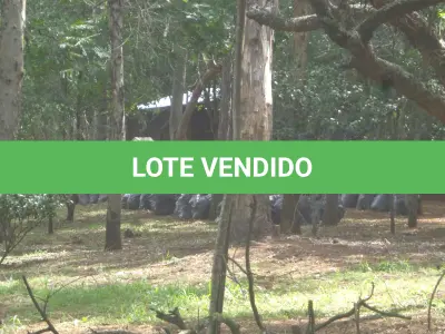 LOTE 001 - Leilão de Imóvel  - Santana do Livramento / RS - Marco do Lopez - Área de 2 Hectares