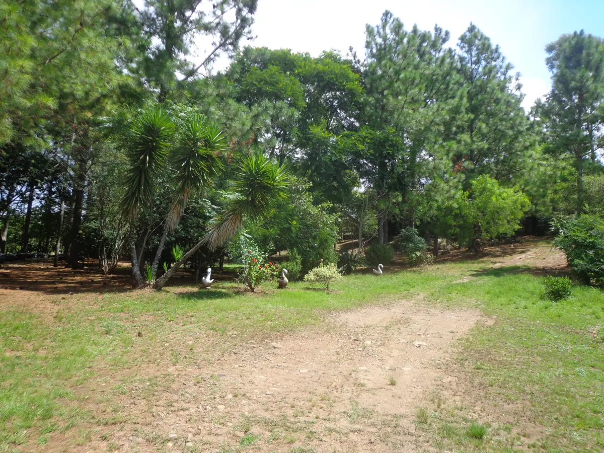 LOTE 001 - Leilão de Imóvel  - Santana do Livramento / RS - Marco do Lopez - Área de 2 Hectares